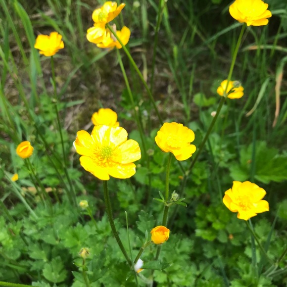 Meet your Posher, Rks - Picture 1 of 1